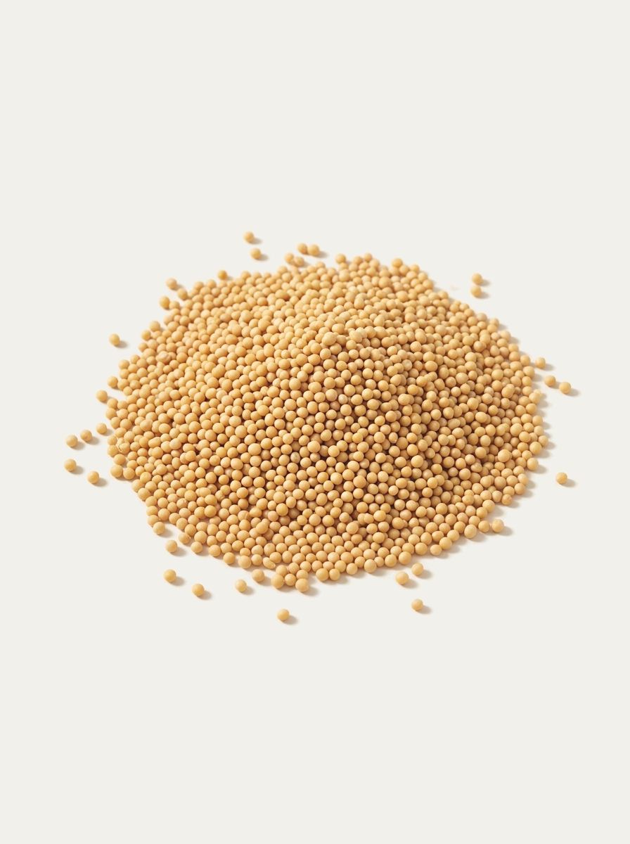 Hardal Tohumu (Sarı) - 250 Gr