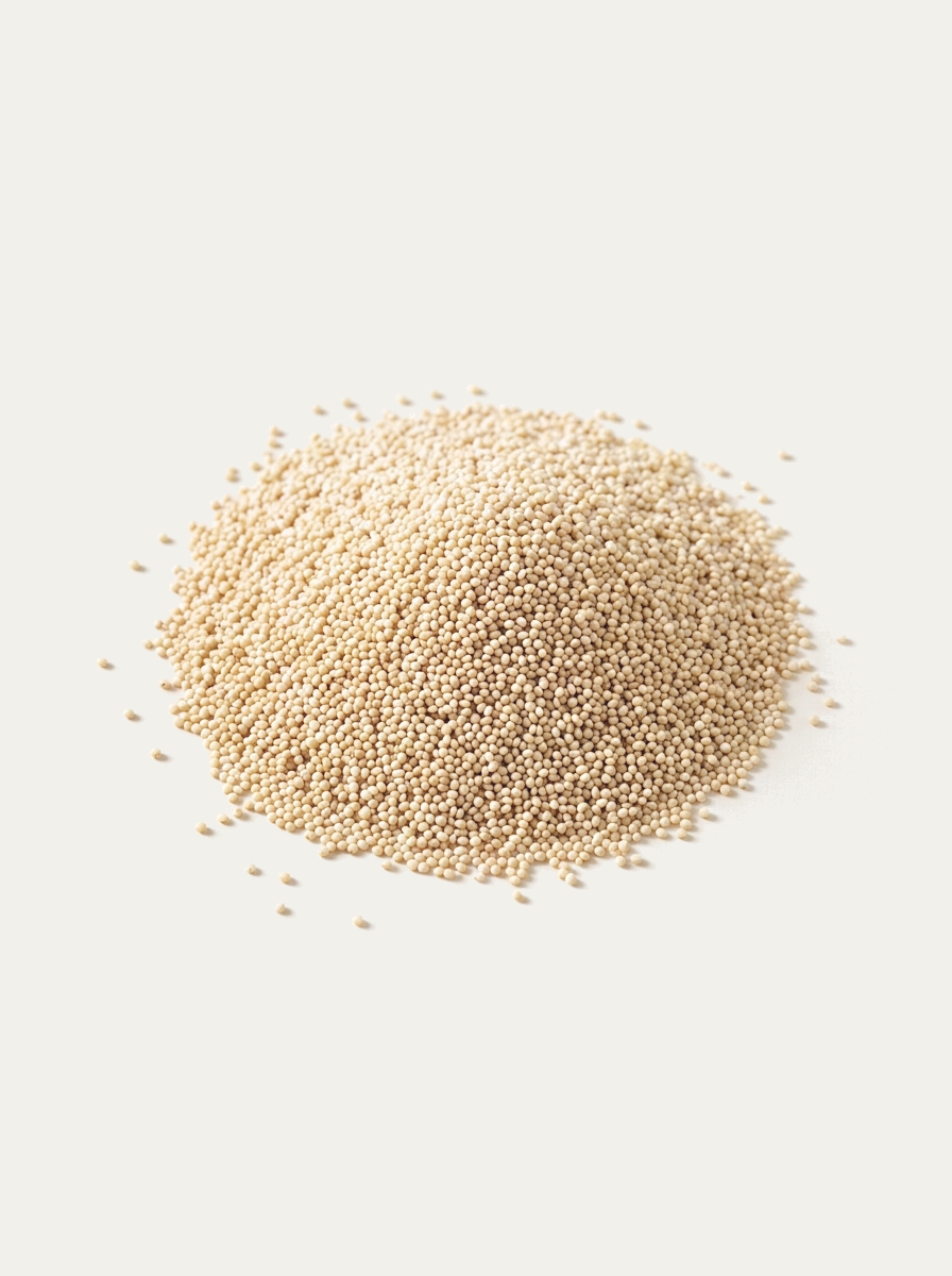 Haşhaş (Beyaz) - 100 Gr