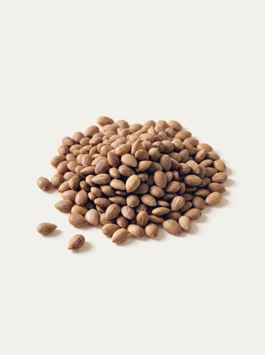 Mahlep - 100 Gr