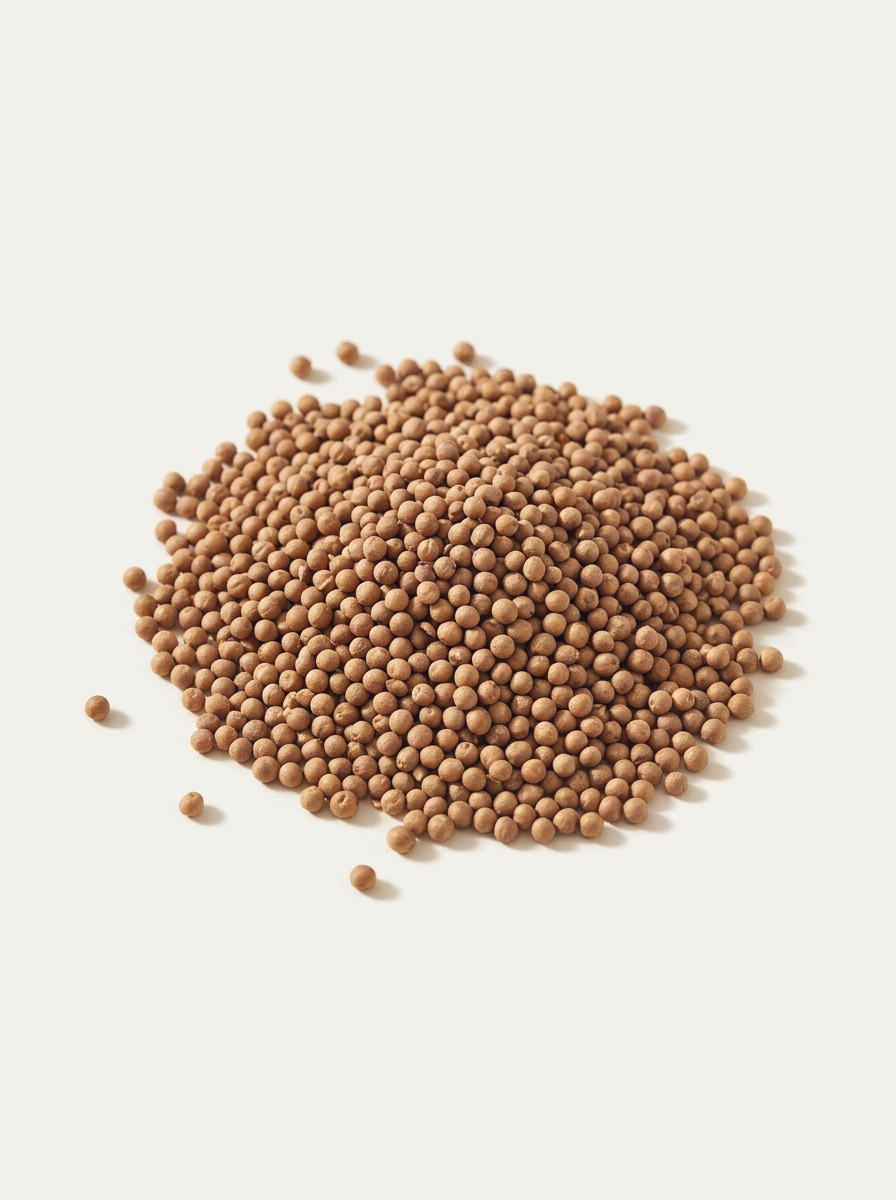 Turp Tohumu - 250 Gr