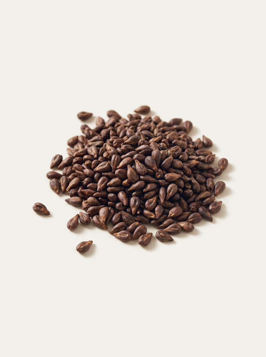 Üzüm Çekirdeği - 250 Gr