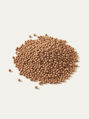 Turp Tohumu · Tohumlar — Wie Farma